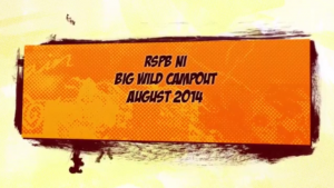 RSPB Big Wild Campout 2014